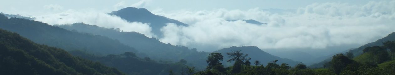 Fincas in Costa Rica